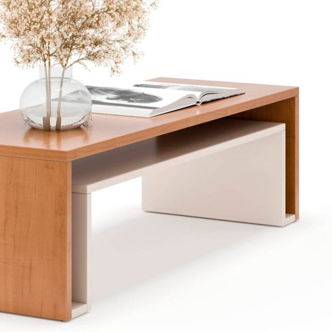 Mesa Ratona Combinada
